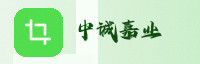 合作伙伴