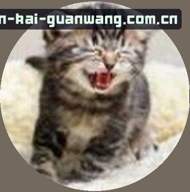 李娜